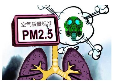 PM2.5