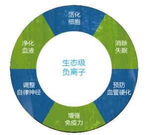 生态级负离子