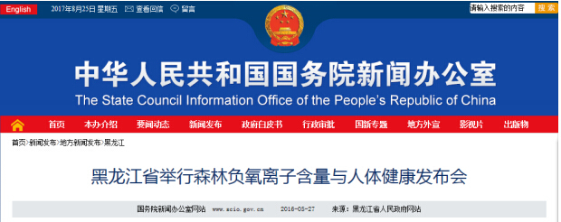 负离子